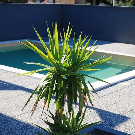 Casa Vito Nin